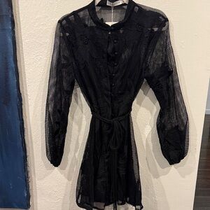 Chic Black Sheer Lace Dress